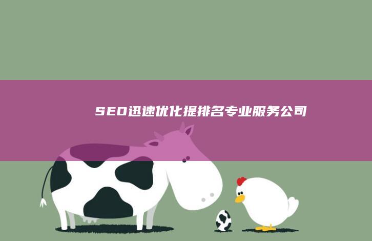 SEO迅速优化提排名专业服务公司